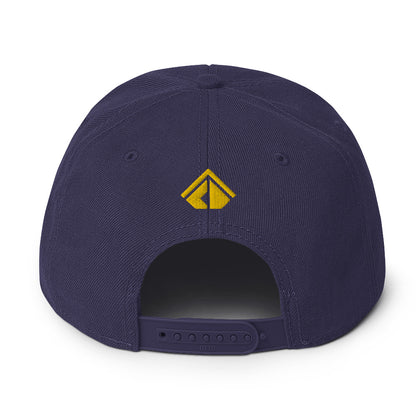 The Wealth Academy Snapback Hat