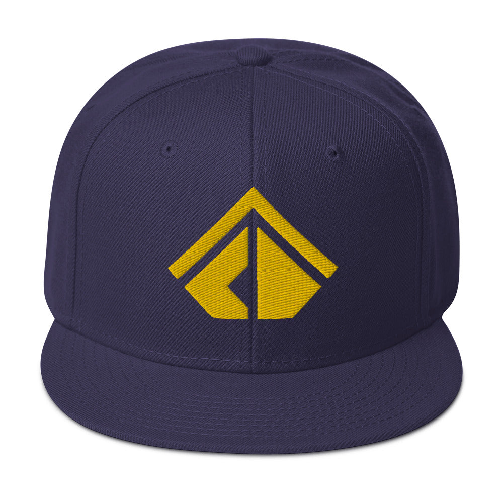 The Wealth Academy Snapback Hat