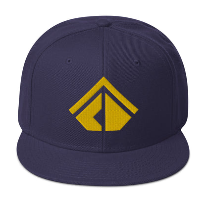 The Wealth Academy Snapback Hat