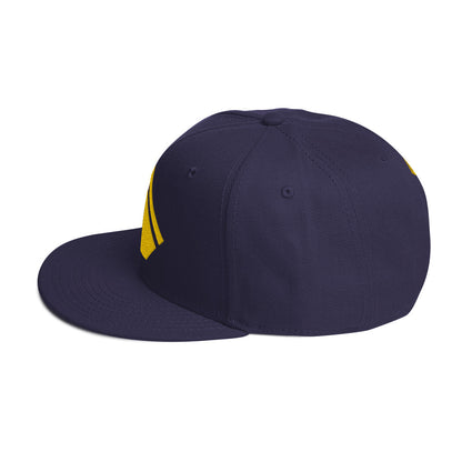 The Wealth Academy Snapback Hat