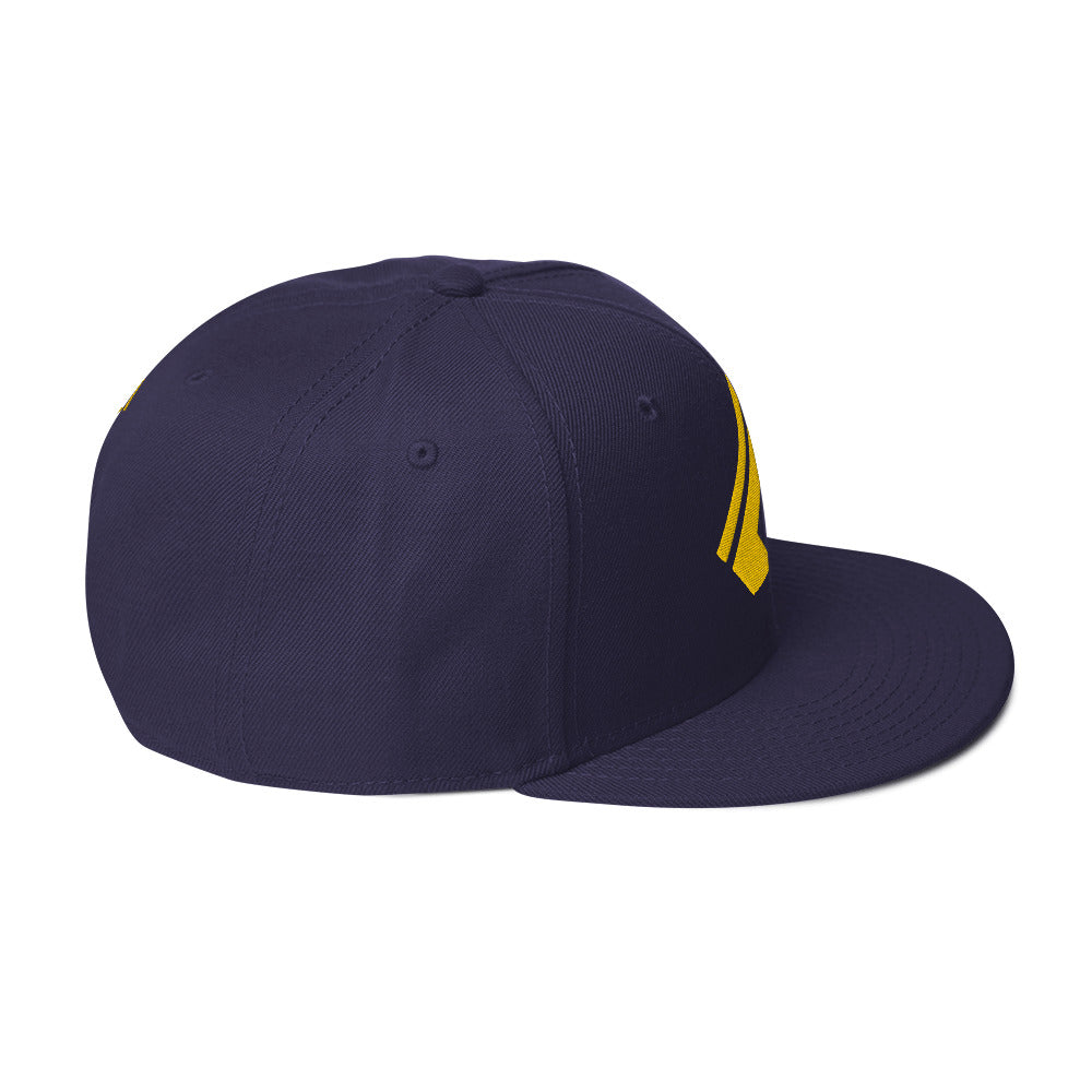 The Wealth Academy Snapback Hat