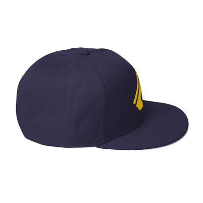 The Wealth Academy Snapback Hat