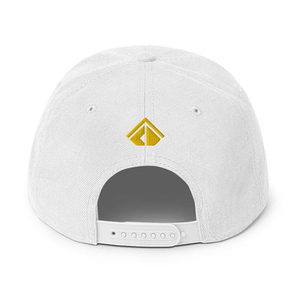 The Wealth Academy Snapback Hat