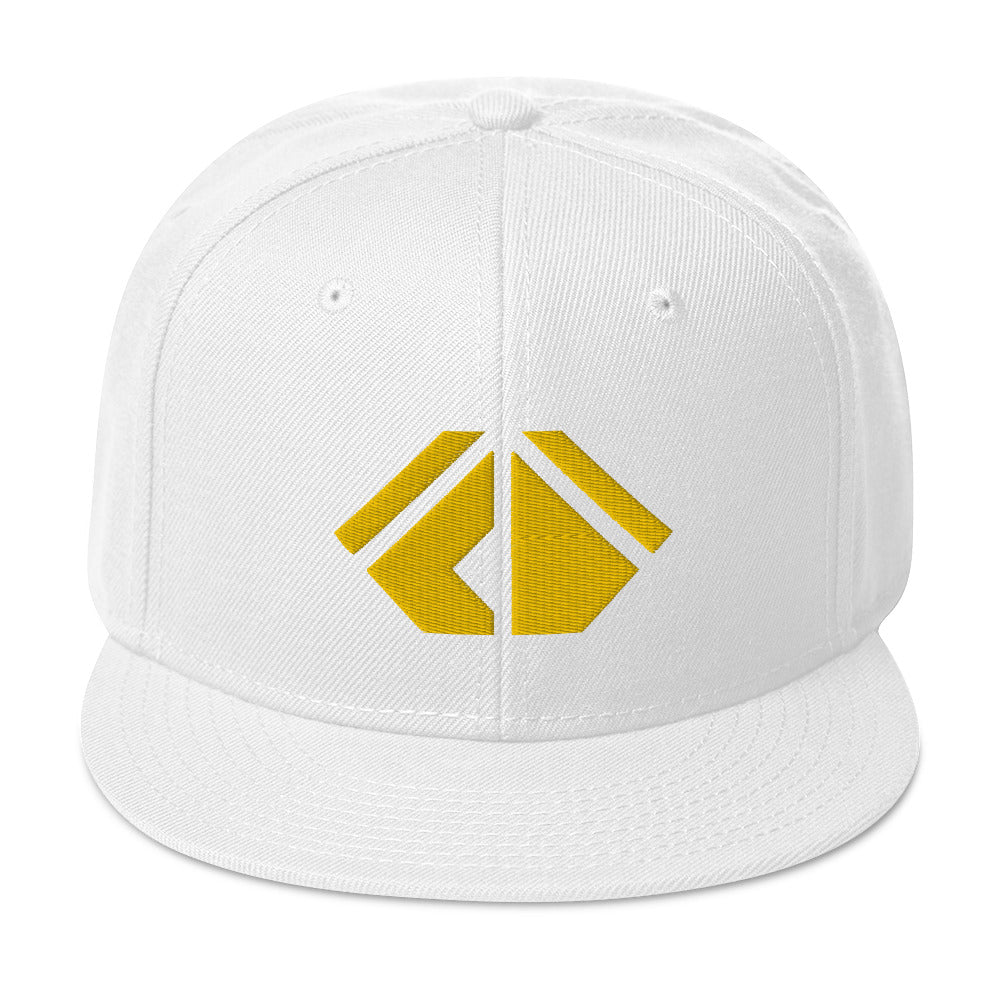 The Wealth Academy Snapback Hat