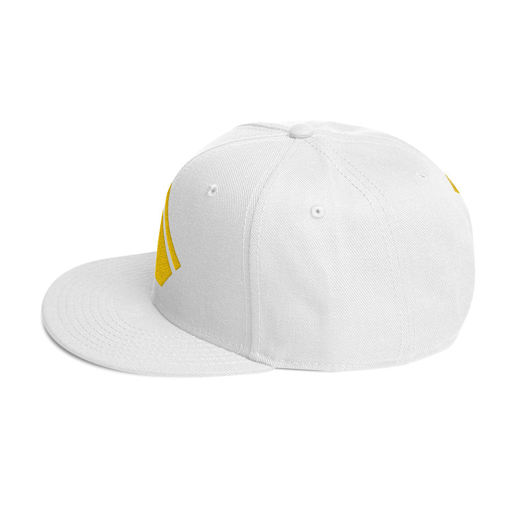 The Wealth Academy Snapback Hat