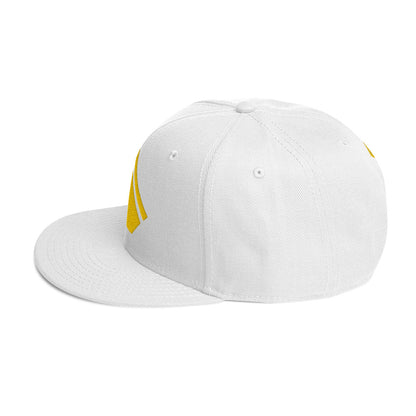 The Wealth Academy Snapback Hat