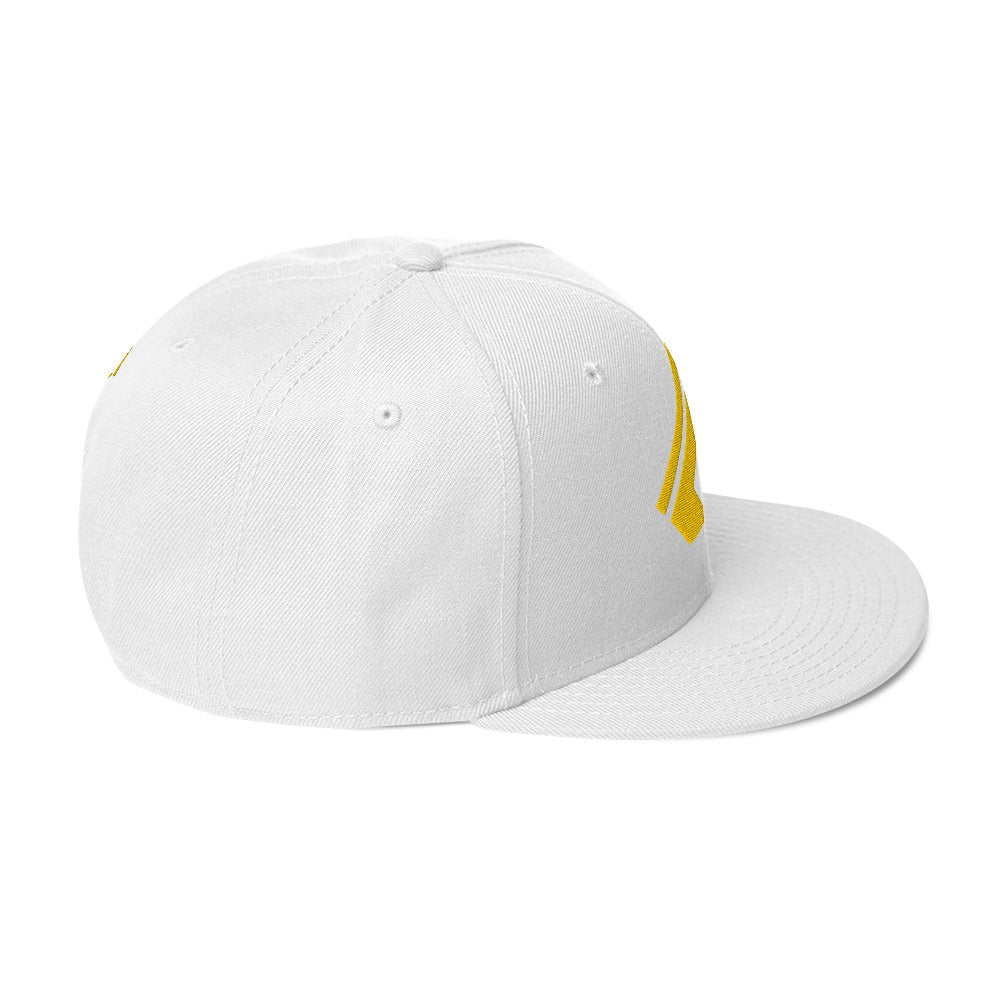 The Wealth Academy Snapback Hat