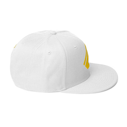 The Wealth Academy Snapback Hat