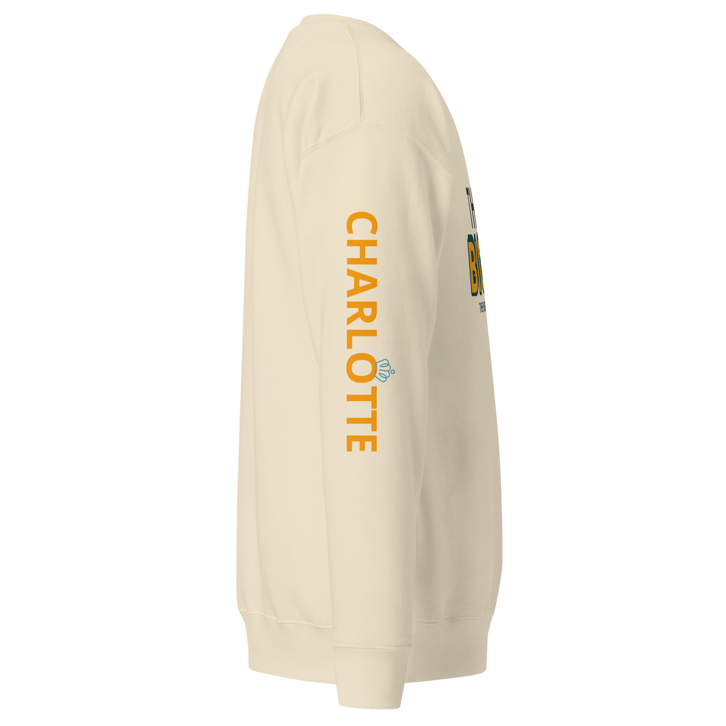 THINK BIG Sweatshirt