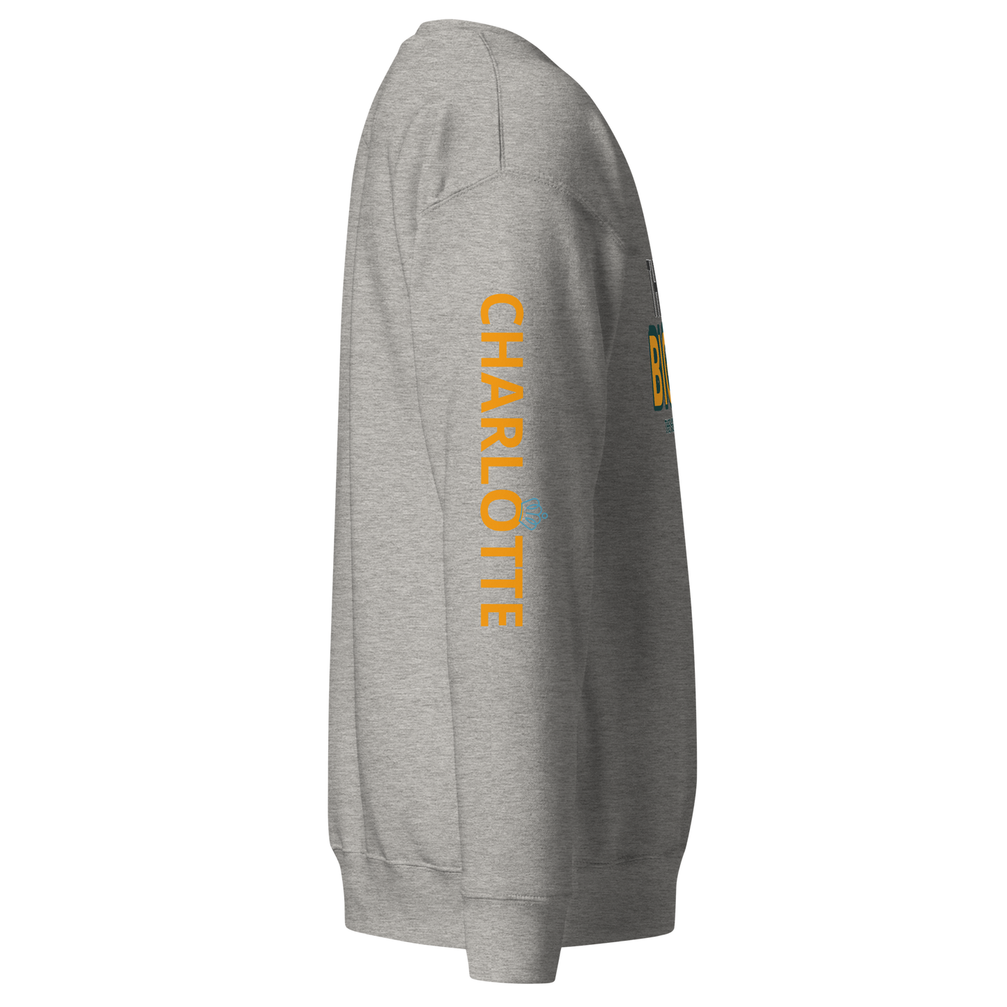 THINK BIG Sweatshirt